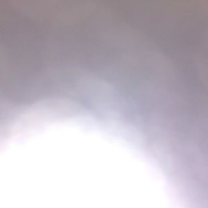 Meet your Posher, Jan